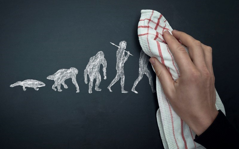 No, God Didn't Use Evolution as the Mechanism of Creation