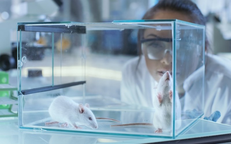 GROTESQUE: U.S. Government Cannibalizing Babies So Mice Can Live