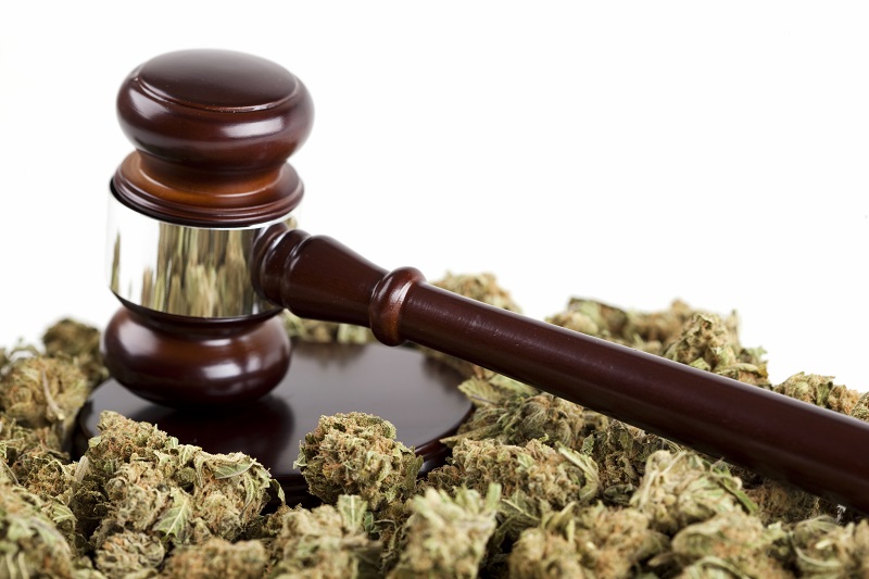 Is Legalizing Pot a Good Idea?
