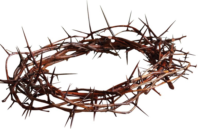 Walk Through Jesus' Final Hours