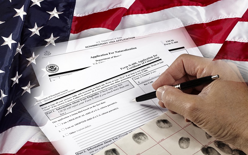 Immigration: Mobile Mobs, Loopholes, and Landmines