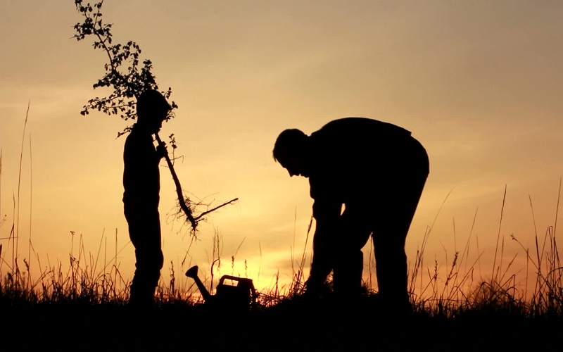 The Boy to Man Book: Preparing Your Son for Manhood