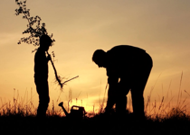 The Boy to Man Book: Preparing Your Son for Manhood