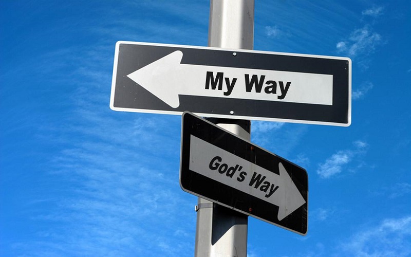 On the Wrong Side of God, Evolution and Humanity