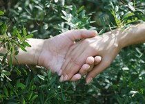 Adam and Eve: Genetic Science Confirms Bible Again