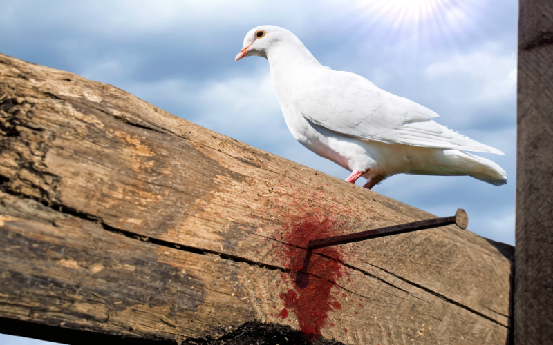 The Spirit, Christ, and the Christian