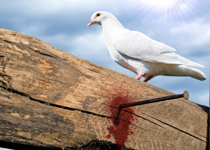 The Spirit, Christ, and the Christian