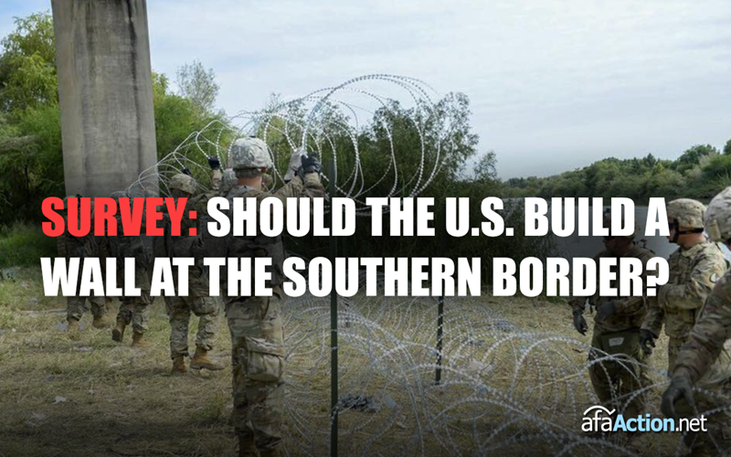 Should President Trump build a wall at the southern border?