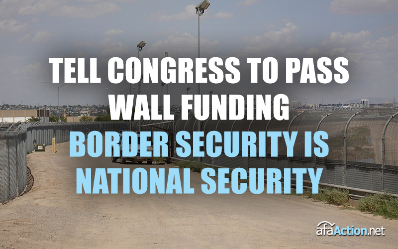 Tell Congress to fund Pres. Trump's border security plan