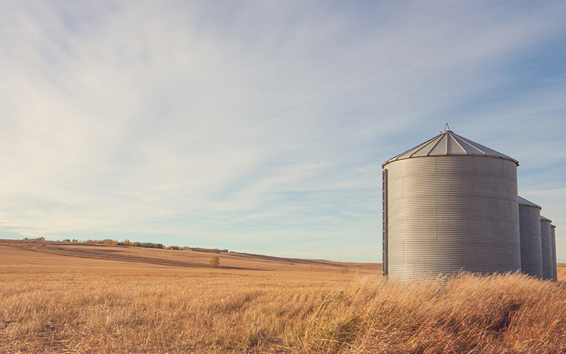Silos, Burnt-over Ground, and the Body of Christ