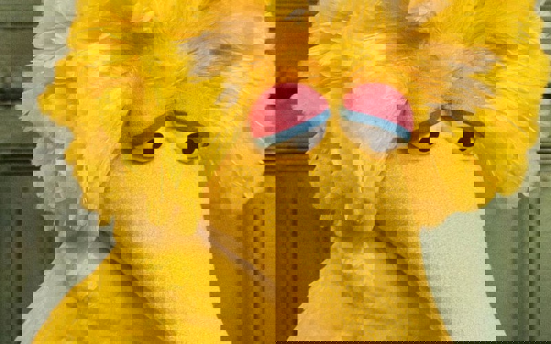 Killing Big Bird?