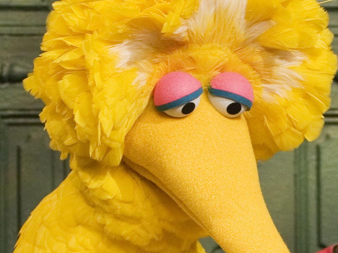 Killing Big Bird?