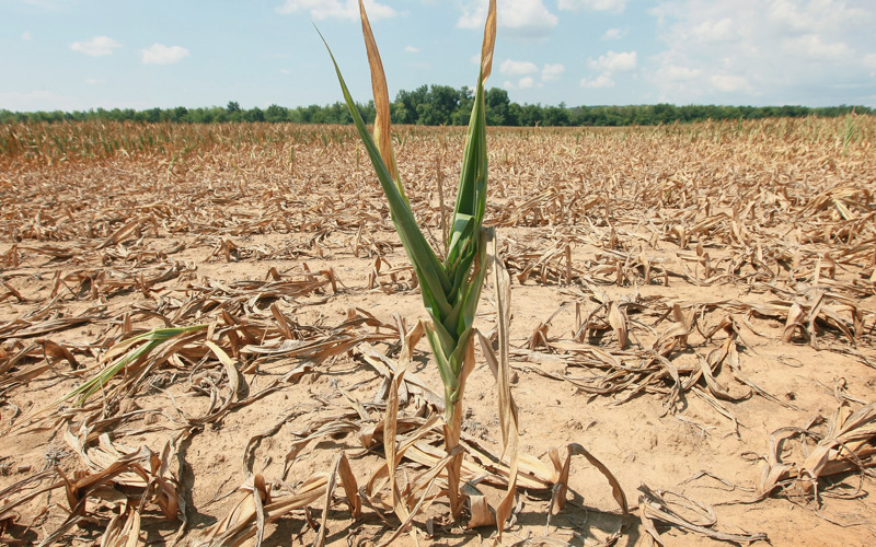 A Famine Only Prayer Can Heal