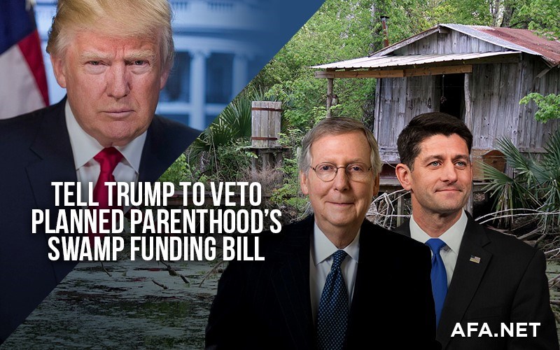 Tell Trump to Veto Funding Bill