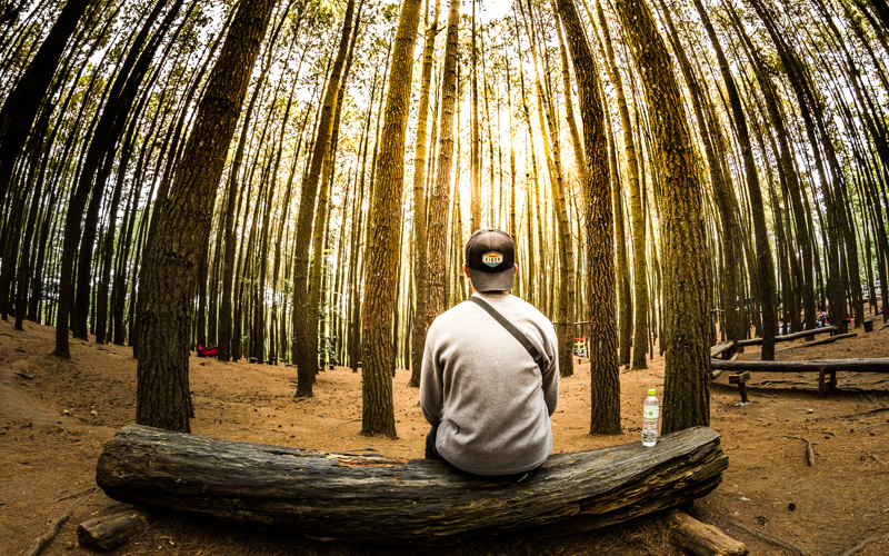 Rules for Self-Discovery