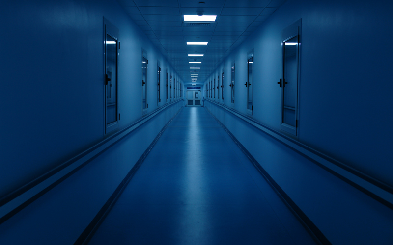 The Walls Are Talking: Secrets and Lies of the Abortion Industry