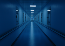 The Walls Are Talking: Secrets and Lies of the Abortion Industry