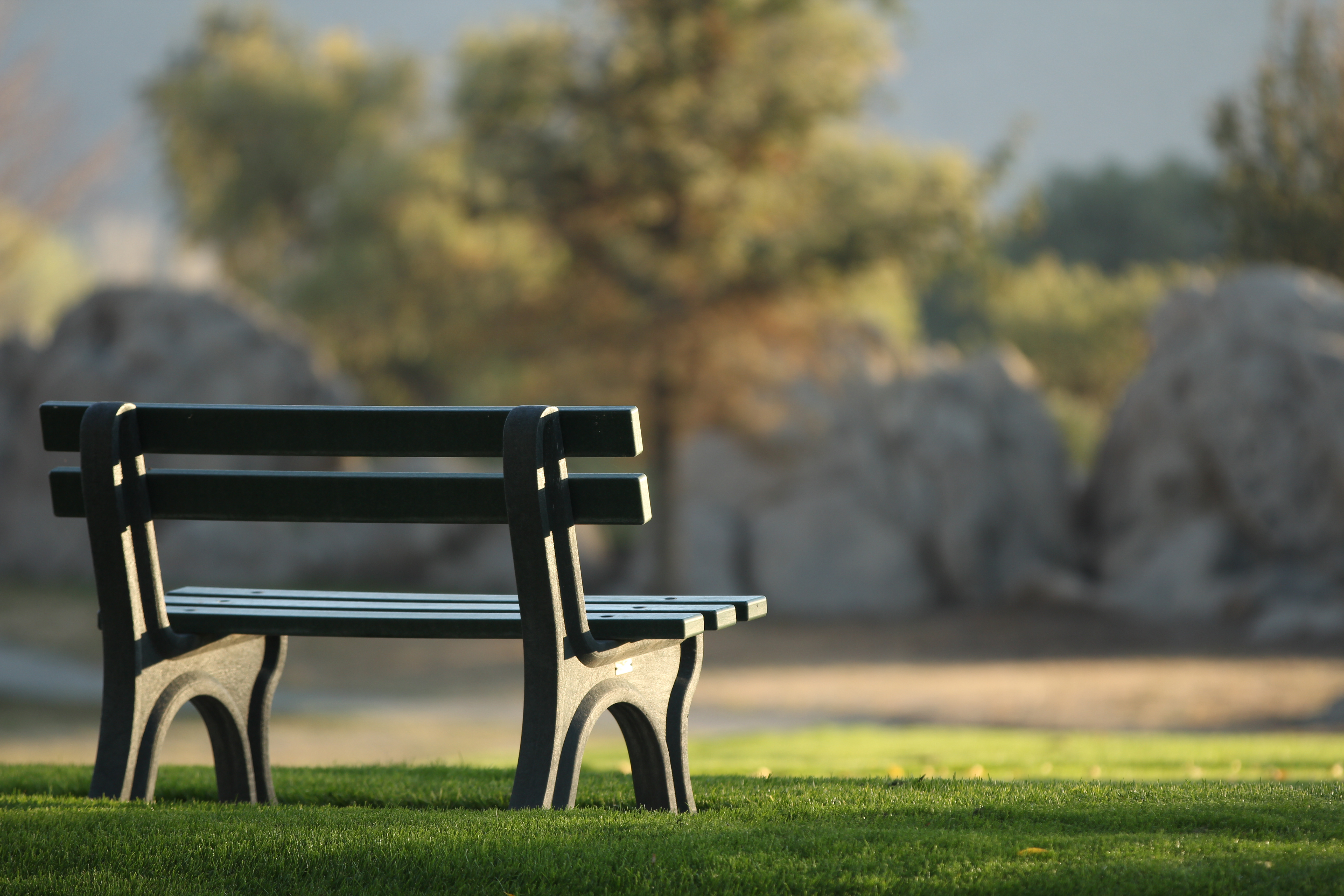Finding Answers on a Park Bench