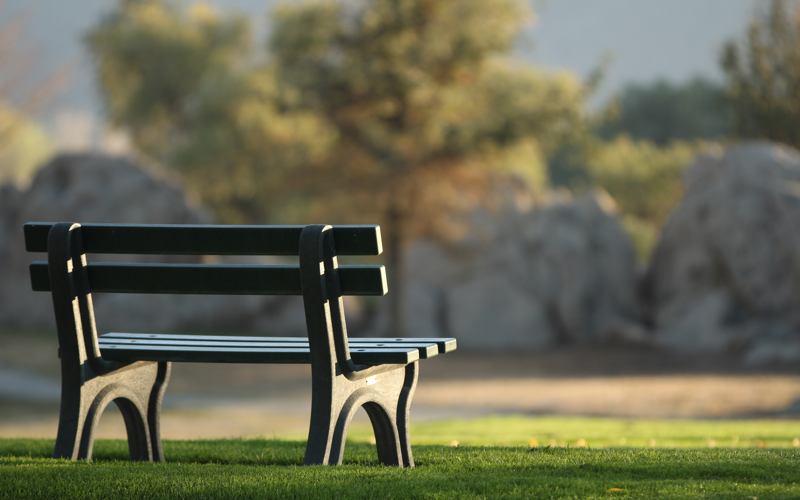 Finding Answers on a Park Bench