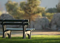 Finding Answers on a Park Bench