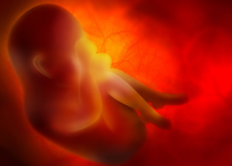 A Response to Pat Robertson’s Critique of Alabama’s Abortion Ban