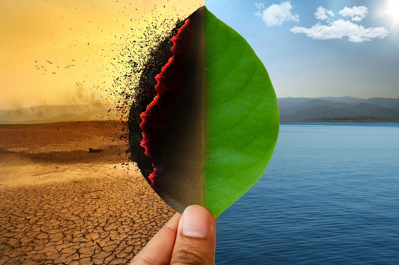 Don’t Let Climate Change Alarmism Ruin Your Future
