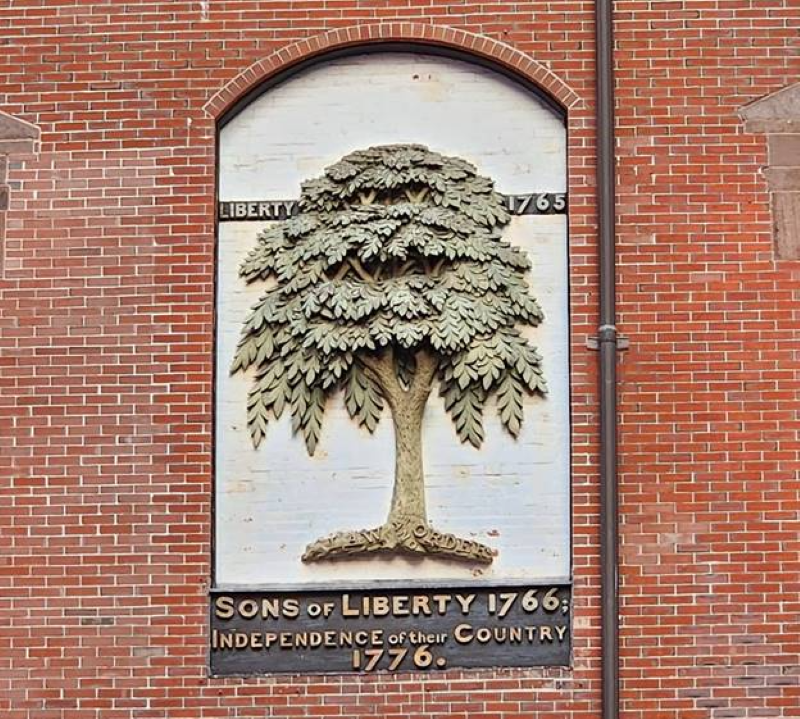 The Boston Liberty Tree