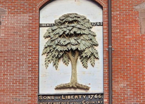 The Boston Liberty Tree