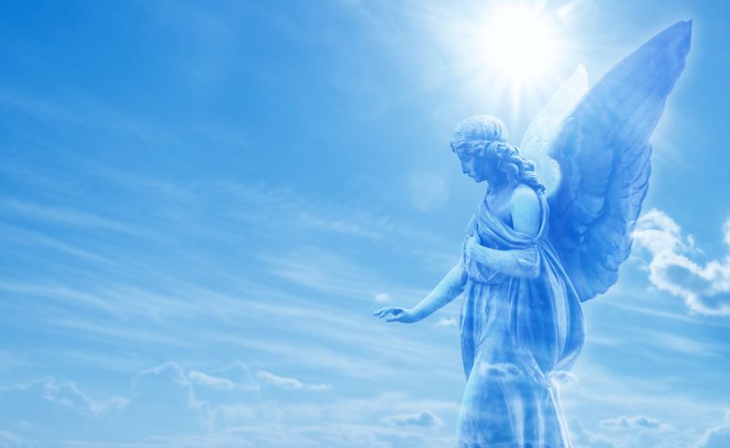 AFA.net - Angels Don't Spread the Gospel - Vimarsana News