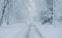 A Reminder of Life's Fragility