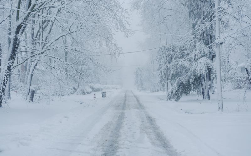 A Reminder of Life's Fragility