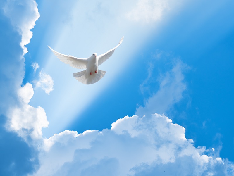 Salvation by Works?