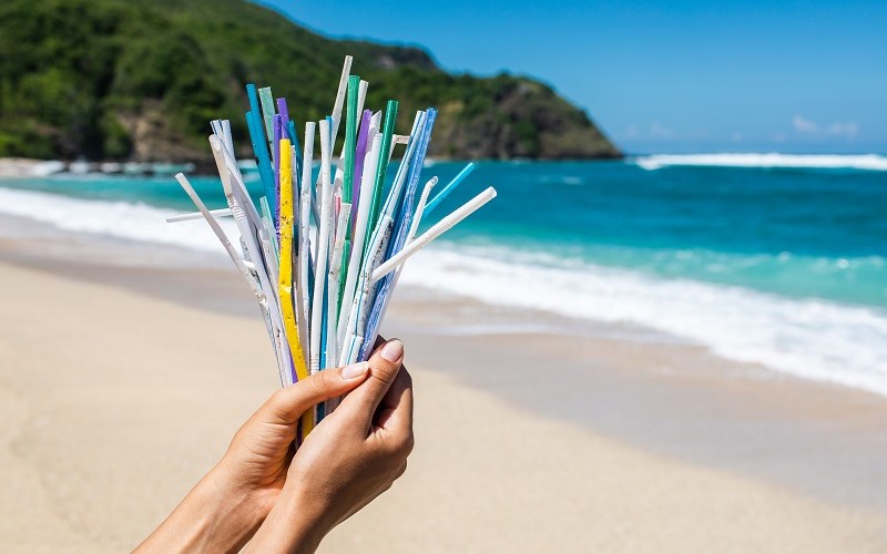 All You Need to Know About Straws and the Environment