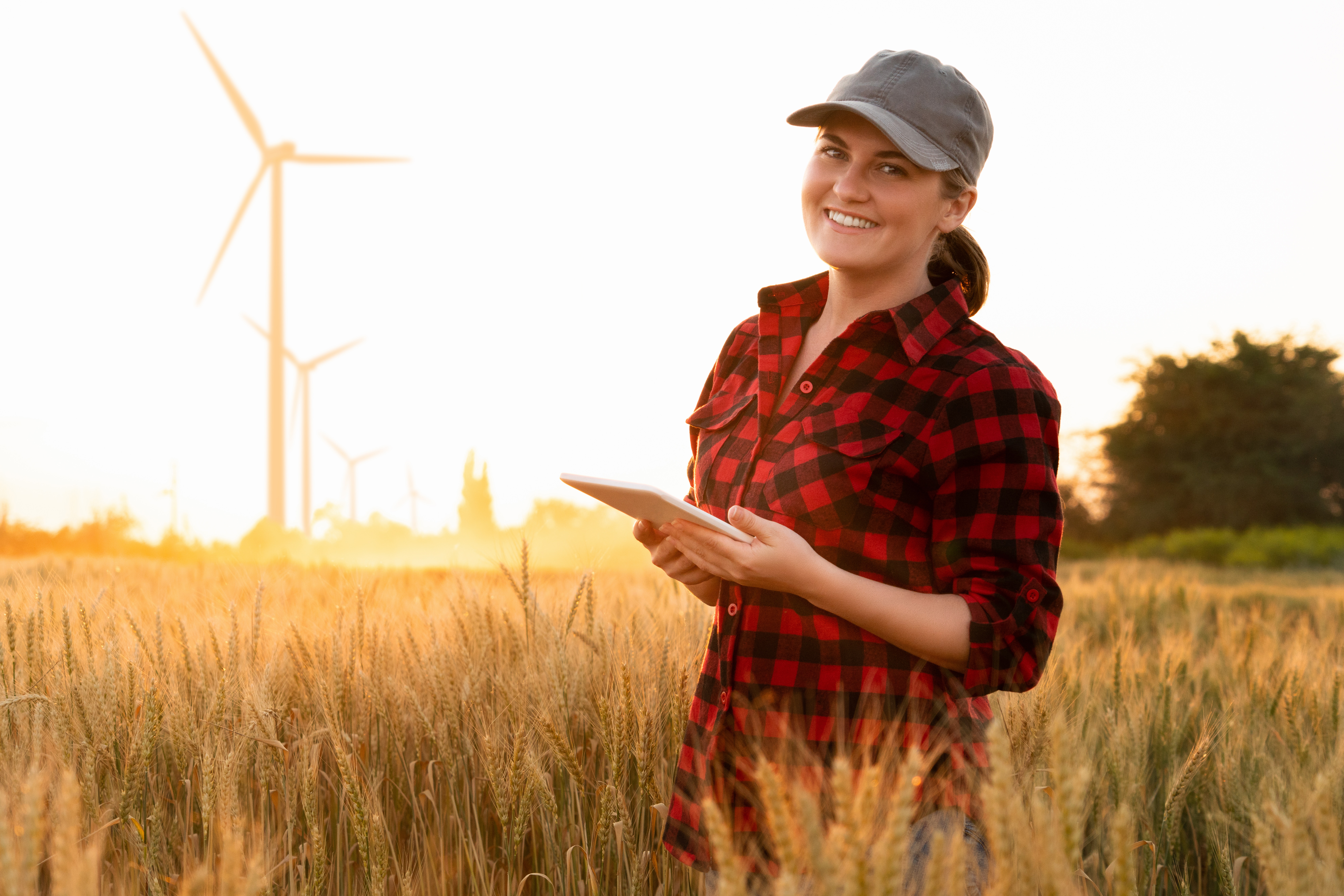 Reaping a Harvest with the Grahams