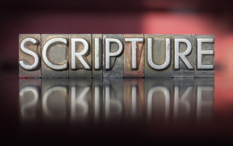 God's Word at Work and on Display
