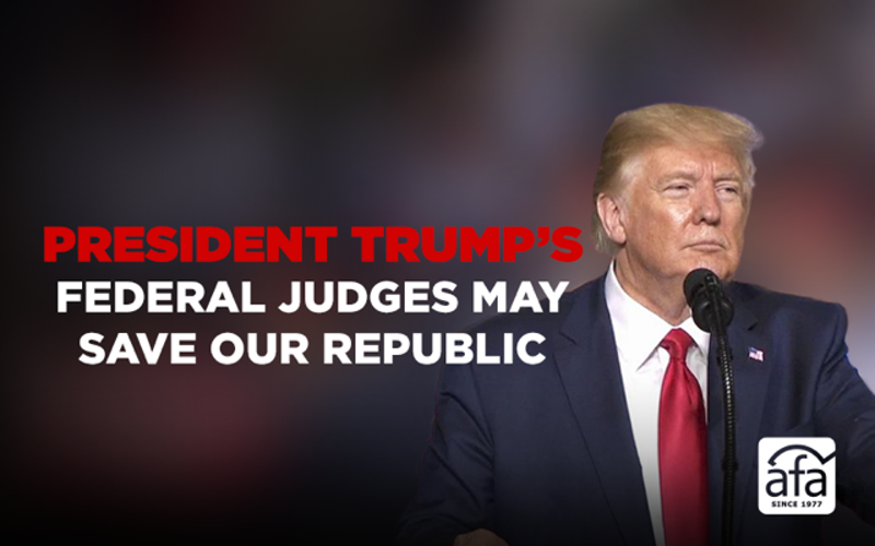 President Trump's federal judges may save our republic