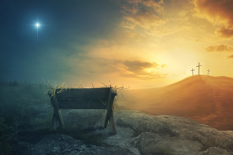 Your Place Beside the Manger