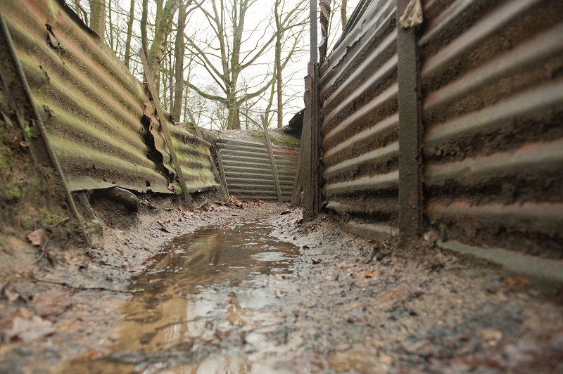 Finding Peace in the Trenches