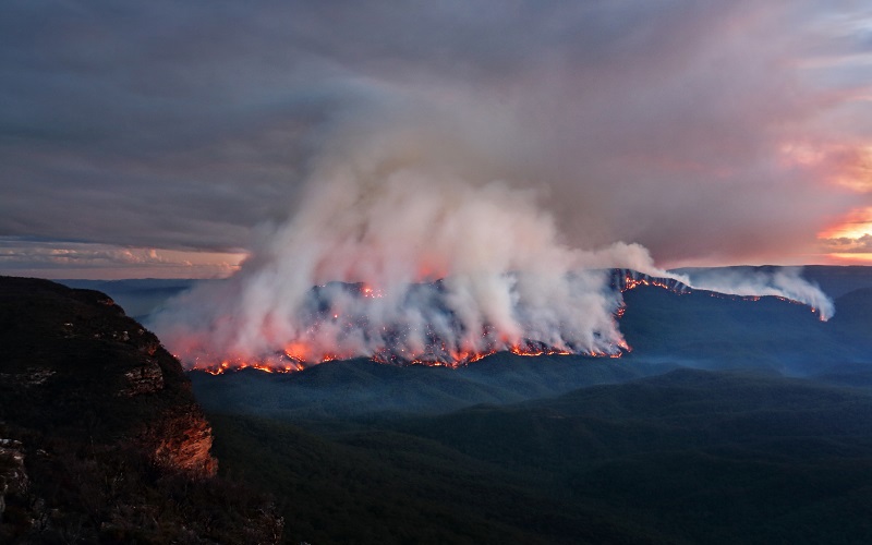 Afa Net Australia S Fires Caused By Bad Forestry And Arson Not Global Warming Afa Net Australia S Fires Caused By Bad Forestry And Arson Not Global Warming
