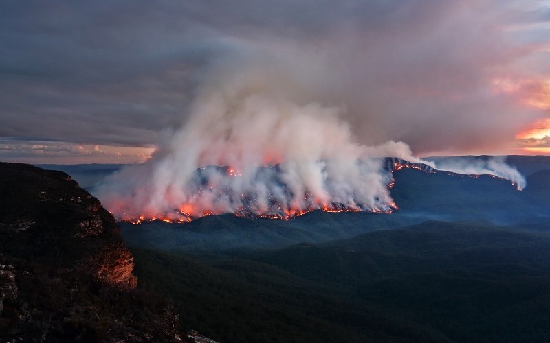 Australia’s Fires: Caused by Bad Forestry and Arson, Not Global Warming