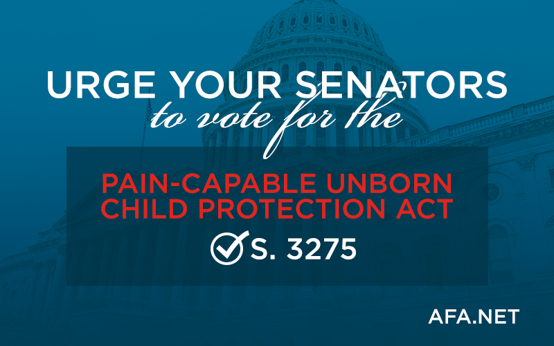 Urge your senators to vote for 'Pain-Capable Unborn Child Protection Act'