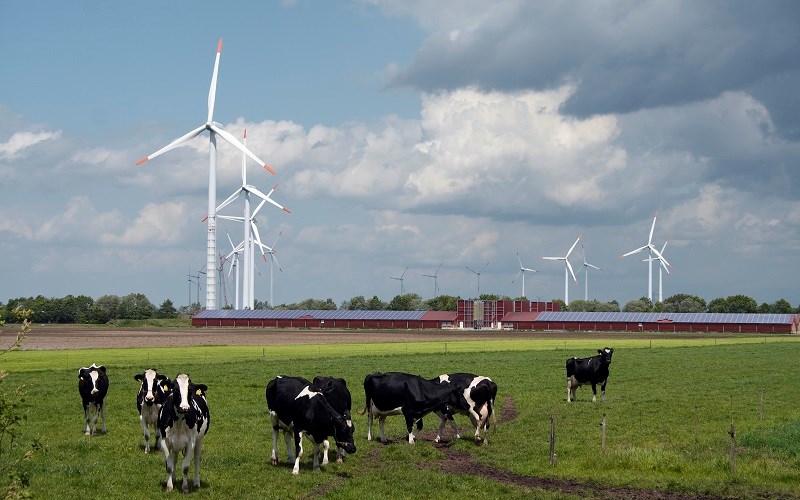 “Clean, Renewable” Energy Is Neither