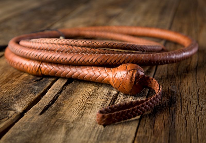 Fear: Satan's Bullwhip