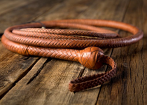 Fear: Satan's Bullwhip