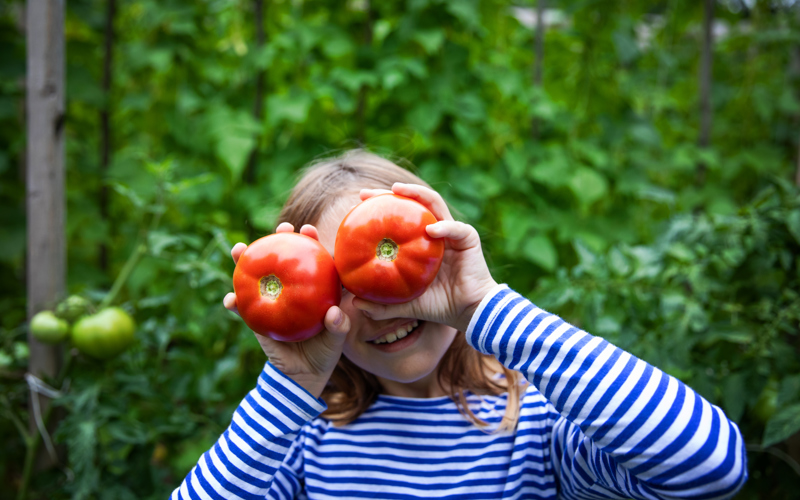 Victory Garden and Other Flumageddon Family Projects