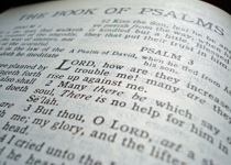The Book of Psalms
