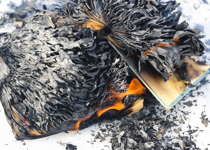 Then They Burned the Bibles