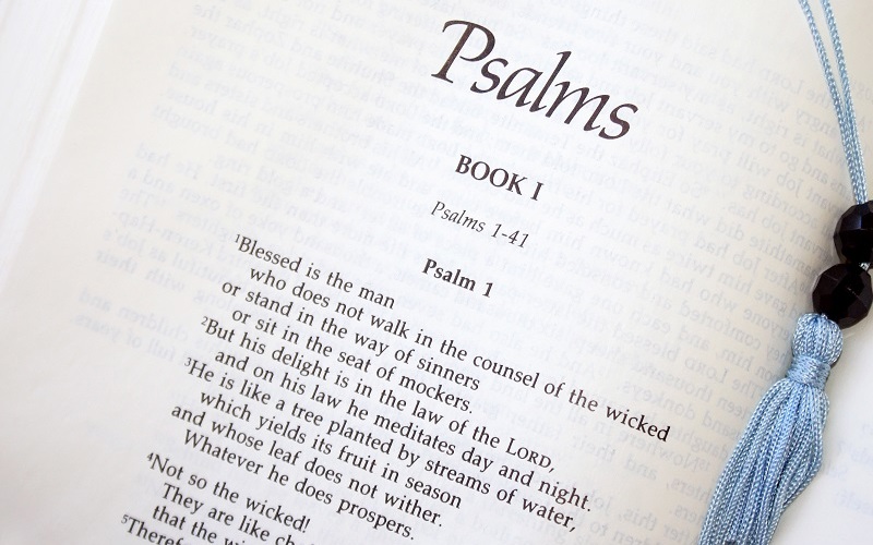 Study the Book of Psalms