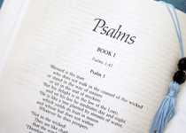 Study the Book of Psalms