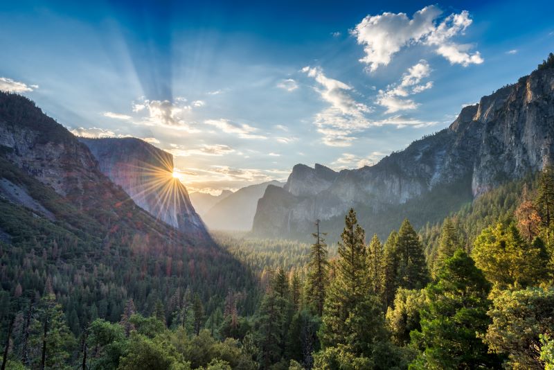AFA.net - God Is So Good! - Vimarsana News